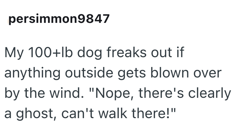 persimmon9847 My 100+lb dog freaks out if anything outside gets blown over by the wind. "Nope, there's clearly a ghost, can't walk there!"