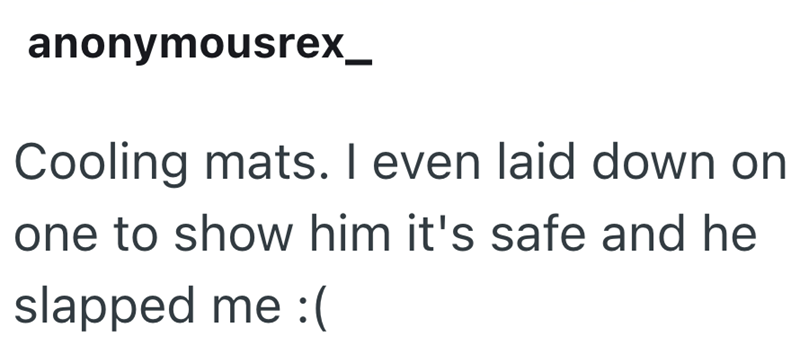 anonymousrex_ Cooling mats. I even laid down on one to show him it's safe and he slapped me :(