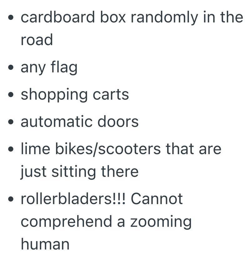 . • cardboard box randomly in the road • any flag . shopping carts • automatic doors ⚫lime bikes/scooters that are just sitting there • rollerbladers!!! Cannot comprehend a zooming human