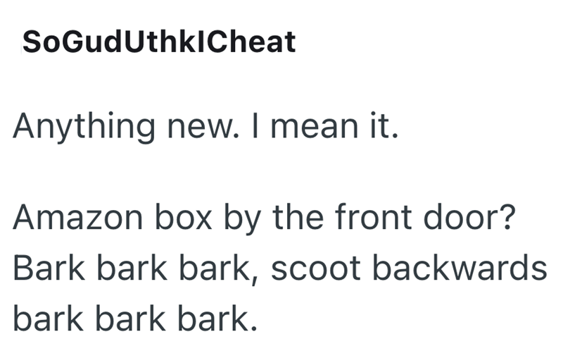SoGudUthklCheat Anything new. I mean it. Amazon box by the front door? Bark bark bark, scoot backwards bark bark bark.