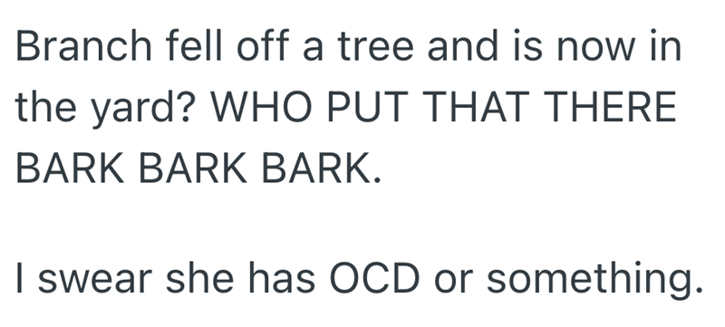 Branch fell off a tree and is now in the yard? WHO PUT THAT THERE BARK BARK BARK. I swear she has OCD or something.