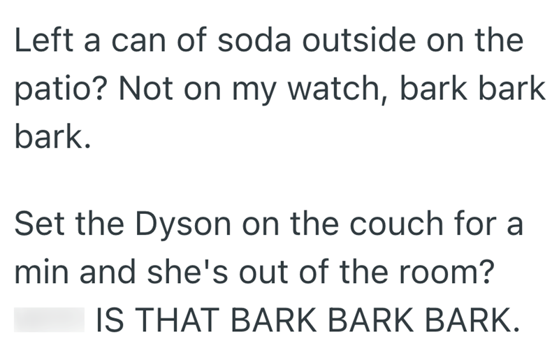 Left a can of soda outside on the patio? Not on my watch, bark bark bark. Set the Dyson on the couch for a min and she's out of the room? IS THAT BARK BARK BARK.