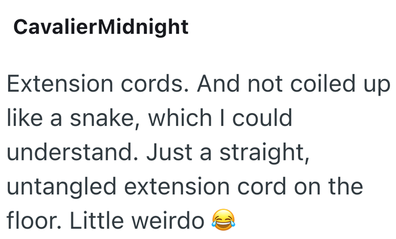 CavalierMidnight Extension cords. And not coiled up like a snake, which I could understand. Just a straight, untangled extension cord on the floor. Little weirdo