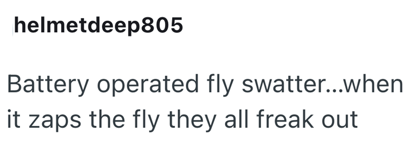 helmetdeep805 Battery operated fly swatter...when it zaps the fly they all freak out