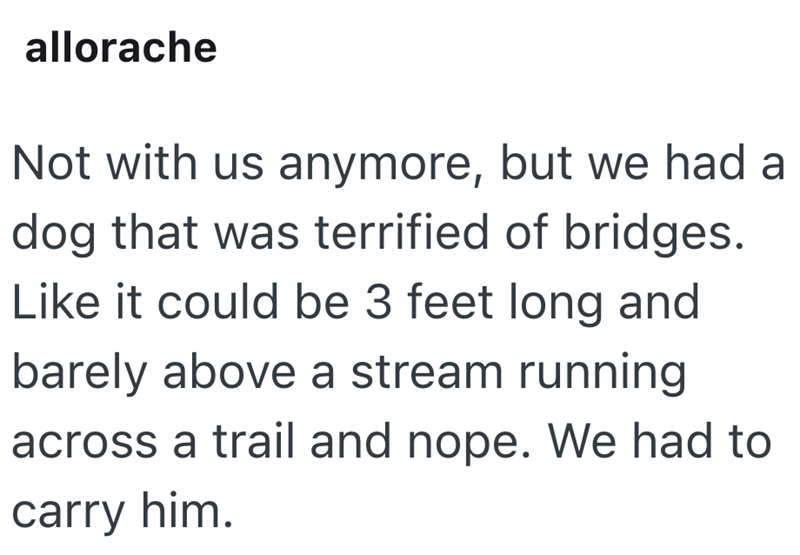 allorache Not with us anymore, but we had a dog that was terrified of bridges. Like it could be 3 feet long and barely above a stream running across a trail and nope. We had to carry him.