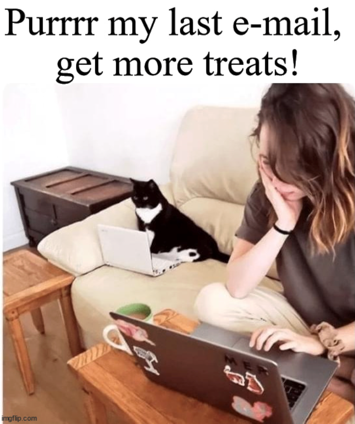 Purrrr my last e-mail, get more treats! imgflip.com M
