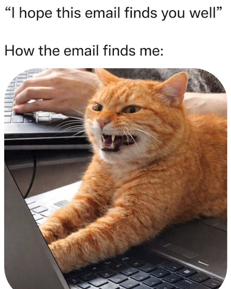 "I hope this email finds you well" How the email finds me: