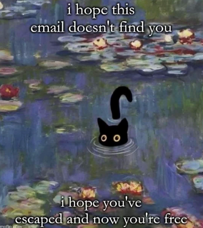 i hope this email doesn't find you 00 i hope you've escaped and now you're free