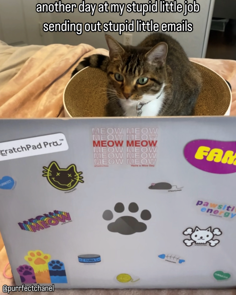 another day at my stupid little job sending out stupid little emails MEOW MEOW cratchPad Pra MEOW MEOW MEOW MEOW MEOW MEOW MEOW MEOW MEOW MEOW Have a Nice Day UFECT MEOW Spurrfectchanel FAM pawsiti energy TUNA ARREGUE