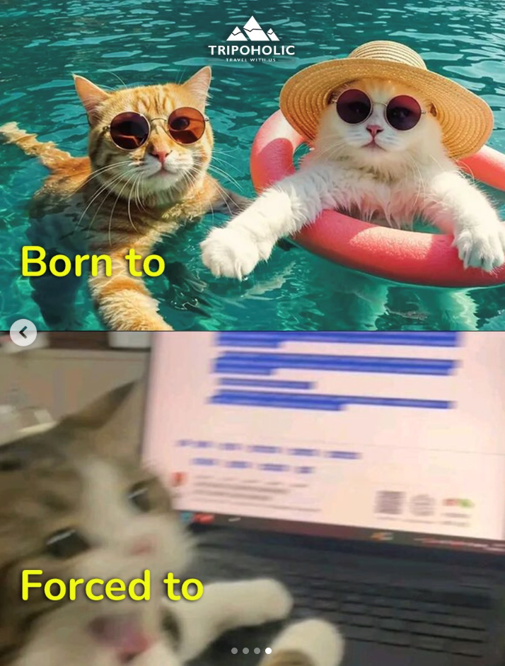 Born to Forced to TRIPOHOLIC TRAVEL WITH US