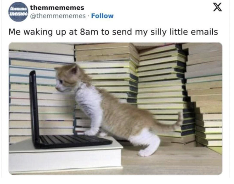 themume themmememes memes@themmememes Follow X Me waking up at 8am to send my silly little emails
