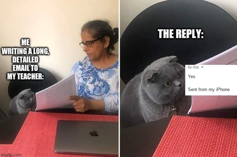 ME WRITING A LONG, DETAILED EMAIL TO MY TEACHER: THE REPLY: imgflip.com to me Yes Sent from my iPhone