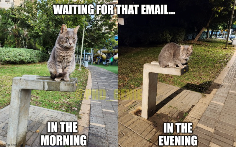 imaflip.com WAITING FOR THAT EMAIL... IN THE MORNING IN THE EVENING