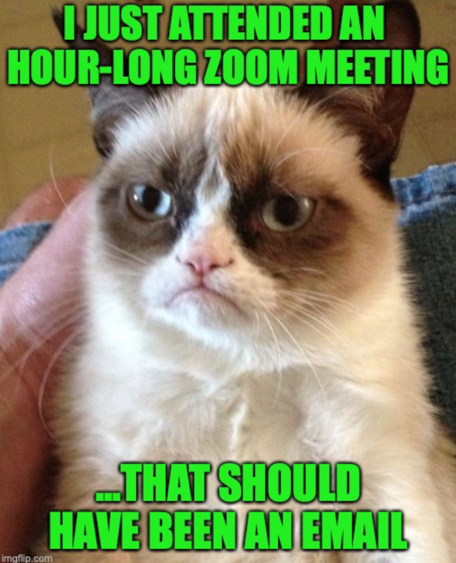 I JUST ATTENDED AN HOUR-LONG ZOOM MEETING imgflip.com THAT SHOULD HAVE BEEN AN EMAIL