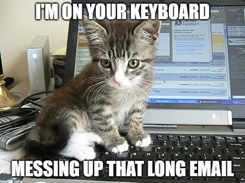 I'M ON YOUR KEYBOARD Explorer7 MESSING UP THAT LONG EMAIL imq.com