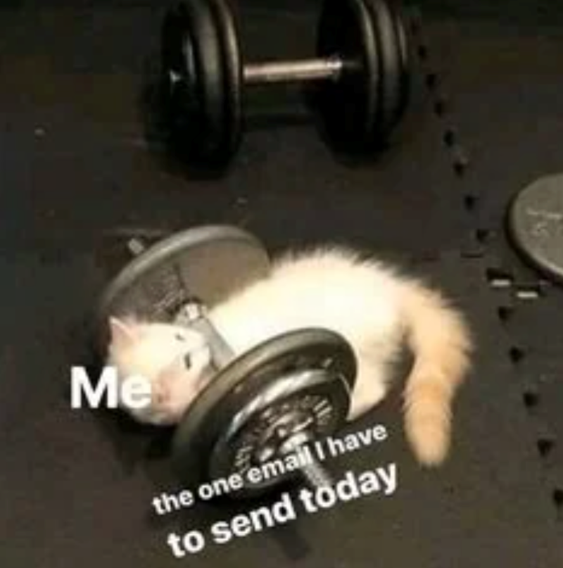 Me the one email I have to send today