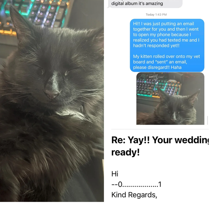 digital album it's amazing Today 1:43 PM Hi!! I was just putting an email together for you and then I went to open my phone because I realized you had texted me and I hadn't responded yet!! My kitten rolled over onto my vet board and "sent" an email, please disregard!! Haha Re: Yay!! Your wedding ready! Hi --О..................1 Kind Regards,