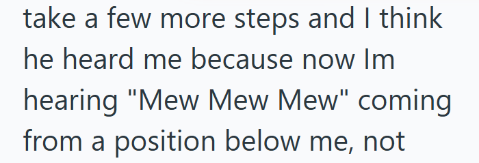 take a few more steps and I think he heard me because now Im hearing "Mew Mew Mew" coming from a position below me, not