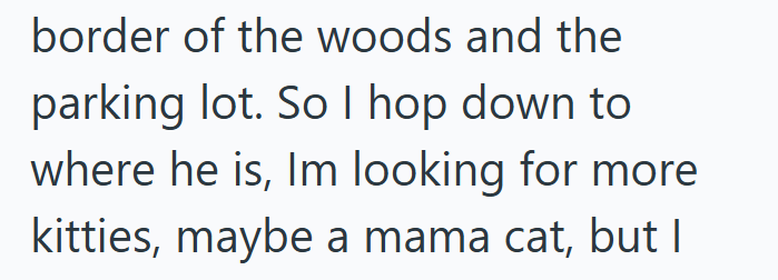 border of the woods and the parking lot. So I hop down to where he is, Im looking for more kitties, maybe a mama cat, but I
