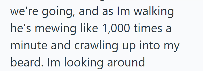 we're going, and as Im walking he's mewing like 1,000 times a minute and crawling up into my beard. Im looking around