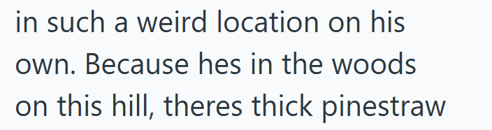 in such a weird location on his own. Because hes in the woods on this hill, theres thick pinestraw