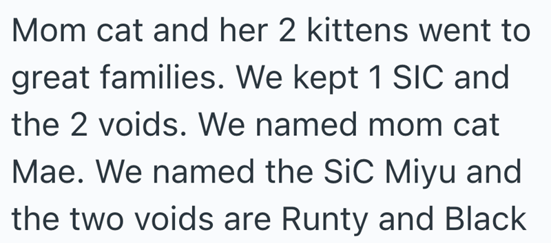 Mom cat and her 2 kittens went to great families. We kept 1 SIC and the 2 voids. We named mom cat Mae. We named the SiC Miyu and the two voids are Runty and Black