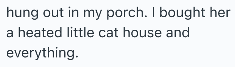 hung out in my porch. I bought her a heated little cat house and everything.