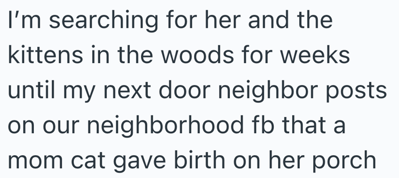I'm searching for her and the kittens in the woods for weeks until my next door neighbor posts on our neighborhood fb that a mom cat gave birth on her porch
