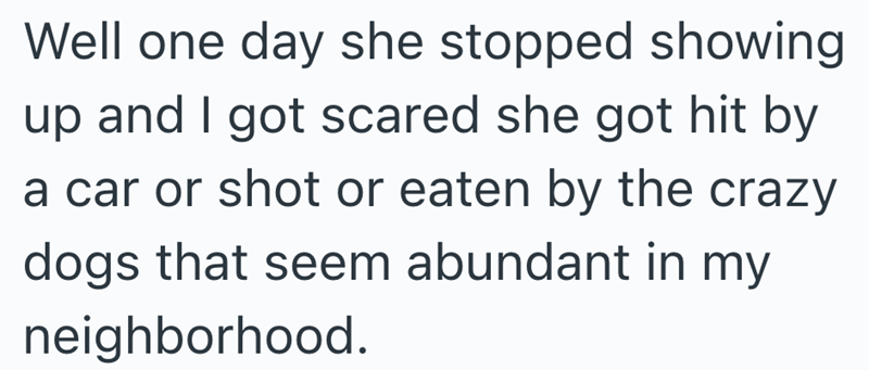 Well one day she stopped showing up and I got scared she got hit by a car or shot or eaten by the crazy dogs that seem abundant in my neighborhood.