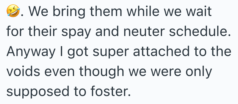 We bring them while we wait for their spay and neuter schedule. Anyway I got super attached to the voids even though we were only supposed to foster.