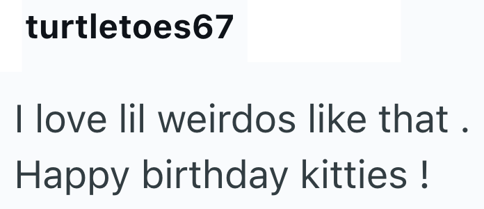 turtletoes67 I love lil weirdos like that. Happy birthday kitties!