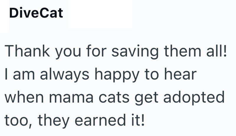 DiveCat Thank you for saving them all! I am always happy to hear when mama cats get adopted too, they earned it!
