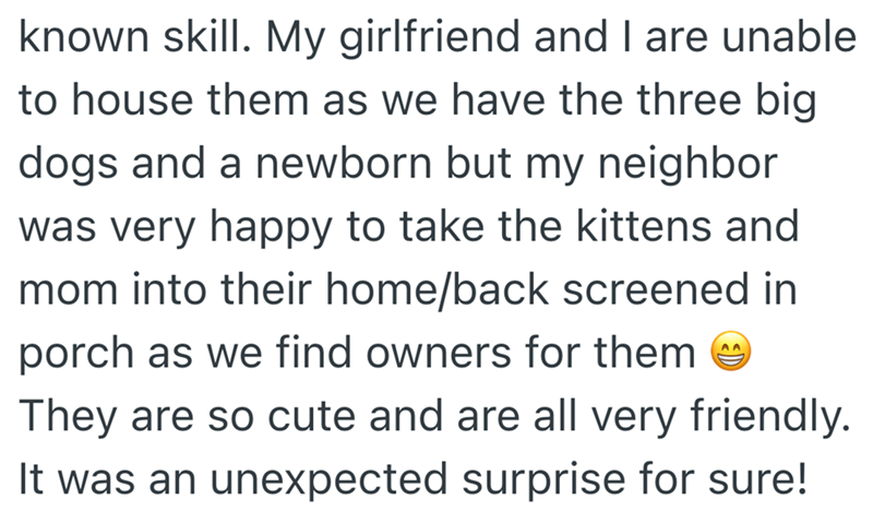 known skill. My girlfriend and I are unable to house them as we have the three big dogs and a newborn but my neighbor was very happy to take the kittens and mom into their home/back screened in porch as we find owners for them AA They are so cute and are all very friendly. It was an unexpected surprise for sure!