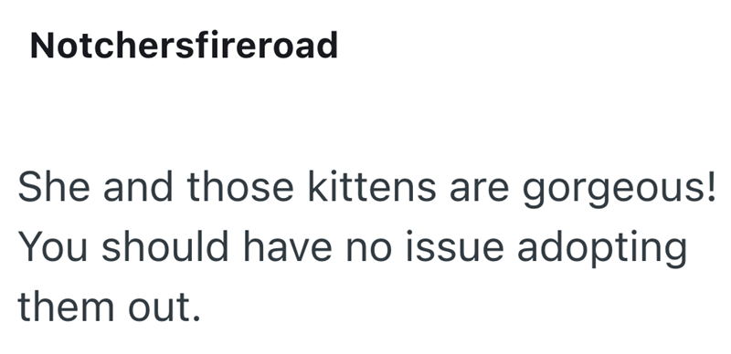 Notchersfireroad She and those kittens are gorgeous! You should have no issue adopting them out.