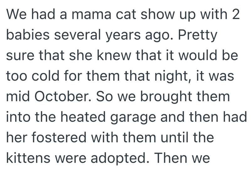 We had a mama cat show up with 2 babies several years ago. Pretty sure that she knew that it would be too cold for them that night, it was mid October. So we brought them into the heated garage and then had her fostered with them until the kittens were adopted. Then we