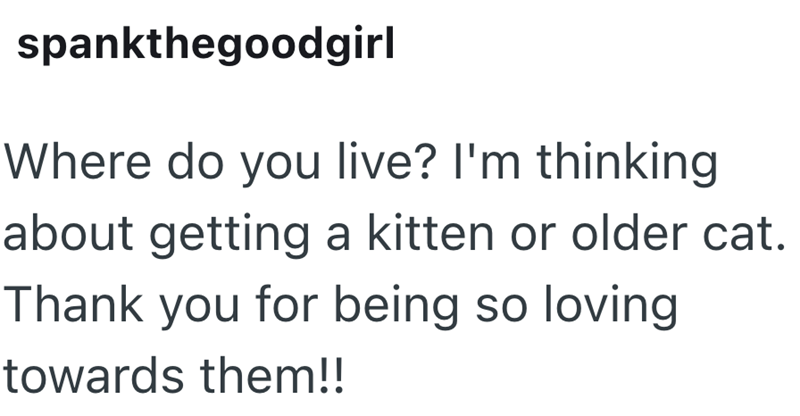spankthegoodgirl Where do you live? I'm thinking about getting a kitten or older cat. Thank you for being so loving towards them!!