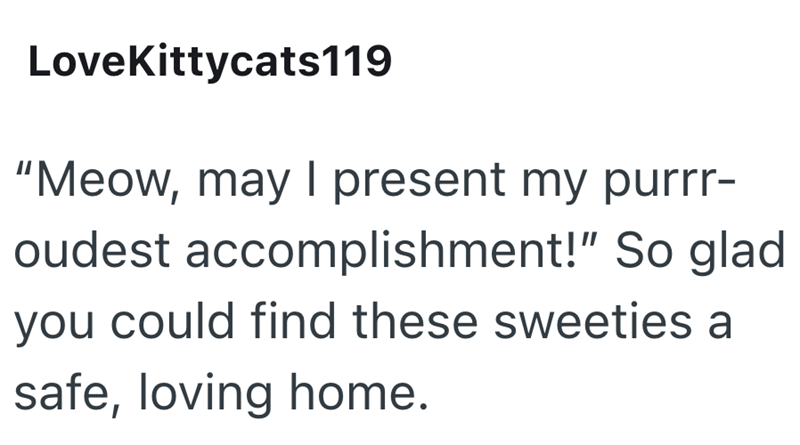 LoveKittycats119 "Meow, may I present my purrr- oudest accomplishment!" So glad you could find these sweeties a safe, loving home.