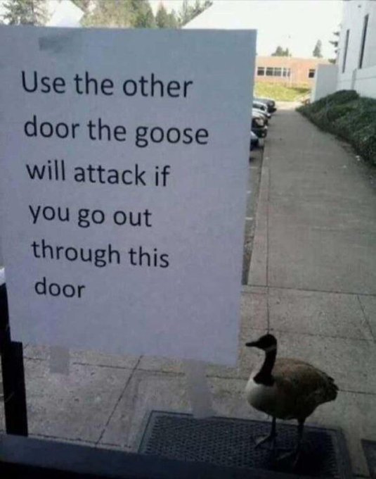 Use the other door the goose will attack if you go out through this door