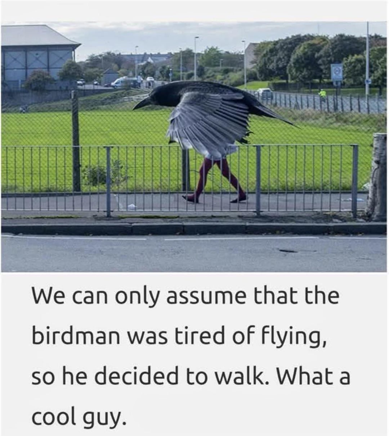 We can only assume that the birdman was tired of flying, so he decided to walk. What a cool guy. M