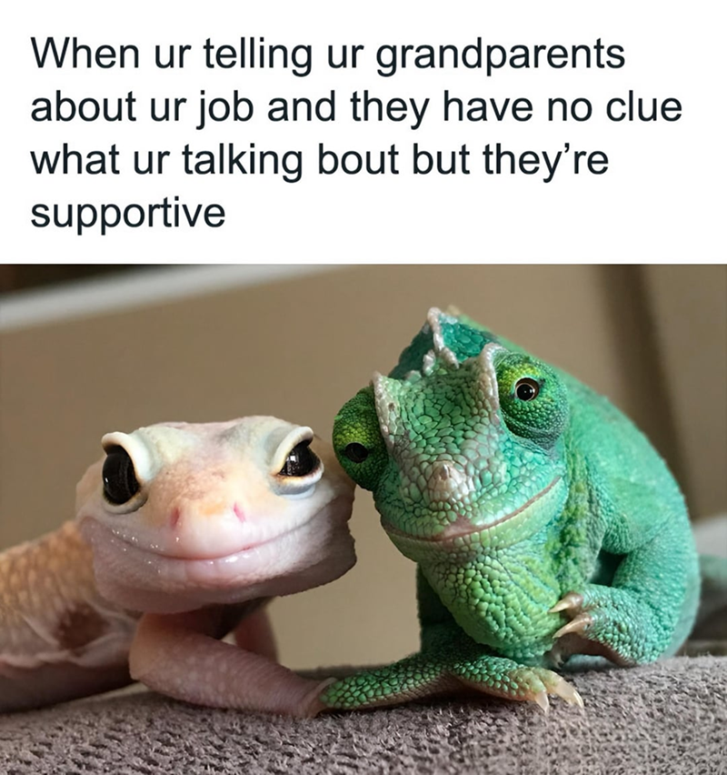 When ur telling ur grandparents about ur job and they have no clue what ur talking bout but they're supportive