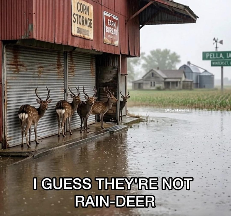 CORN STORAGE BUREAU FARM PELLA, IA WINTERSET @lowaLovers I GUESS THEY'RE NOT RAIN-DEER