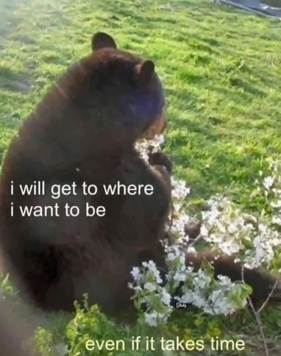 i will get to where i want to be Stake even if it takes time