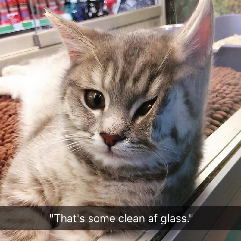 "That's some clean af glass."