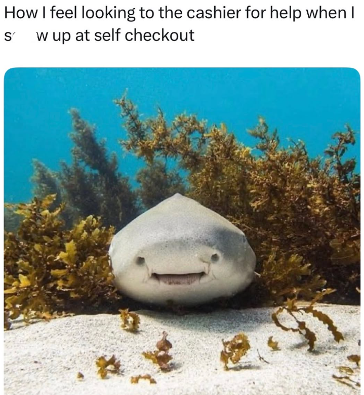 How I feel looking to the cashier for help when I S w up at self checkout