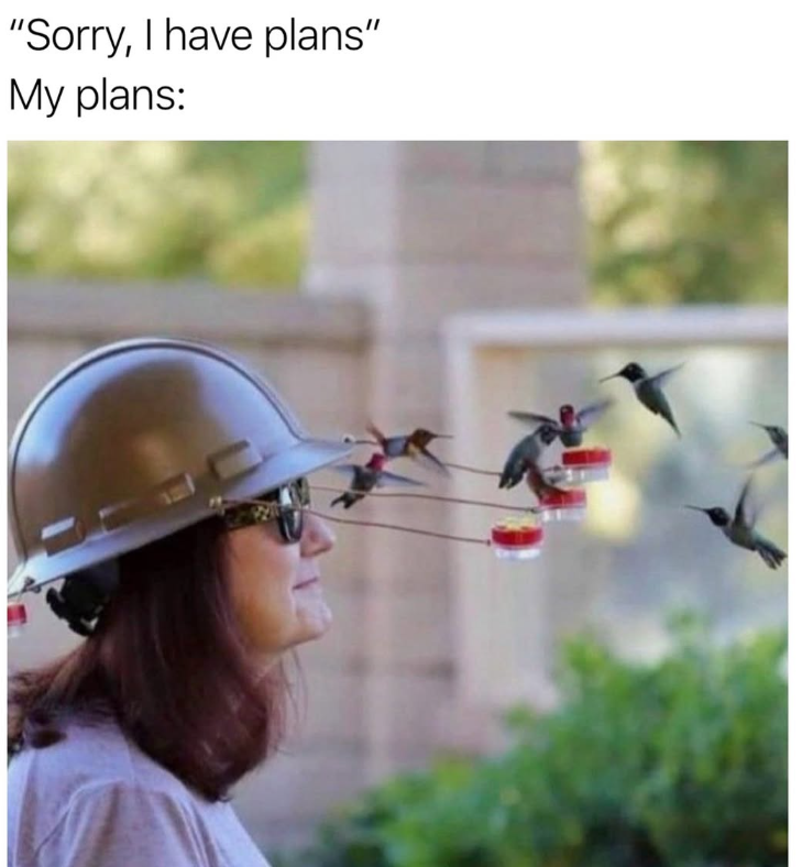 "Sorry, I have plans" My plans: