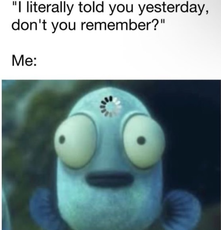 "I literally told you yesterday, don't you remember?" Me: