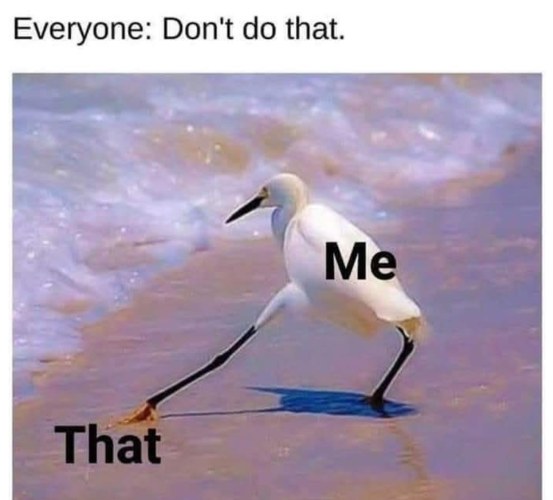 Everyone: Don't do that. That Me