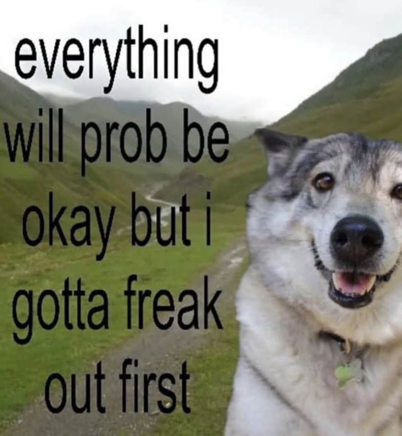 everything will prob be okay but i gotta freak out first