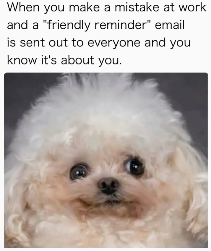 When you make a mistake at work and a "friendly reminder" email is sent out to everyone and you know it's about you.