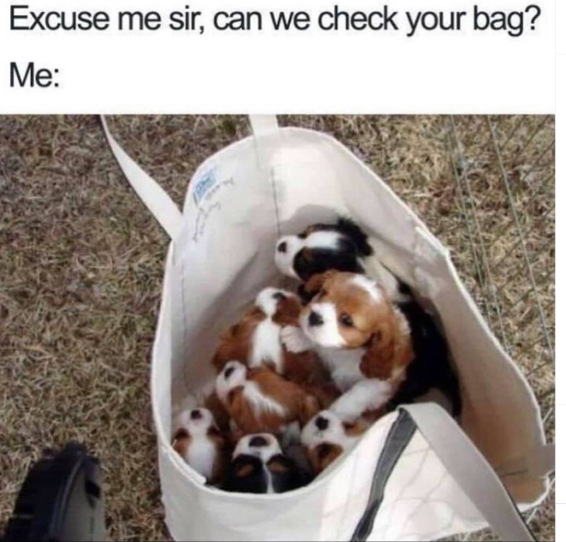 Excuse me sir, can we check your bag? Me: